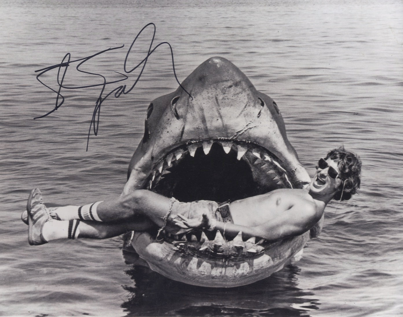 Steven Spielberg JAWS 11x14 signed photo