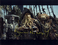 Bill Nighy 11X14 signed photo A