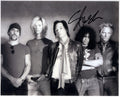 Slash 8x10 signed photo
